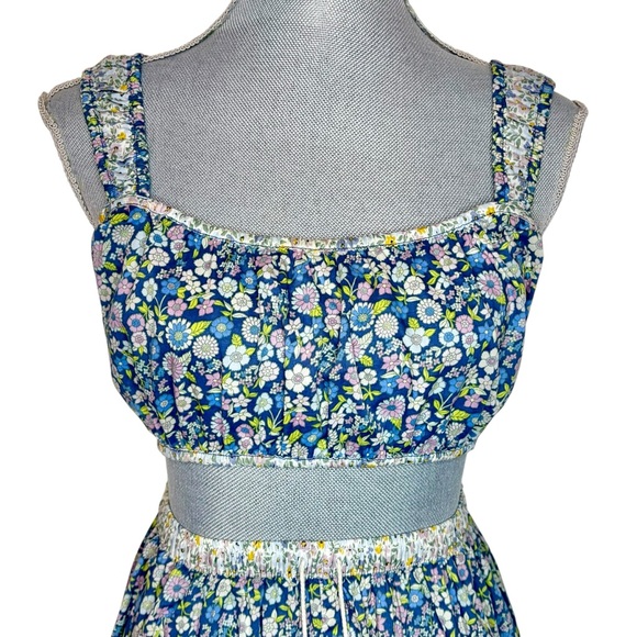 American Eagle Outfitters Tops - American Eagle Floral Crop Top Blue Cottagecore Small